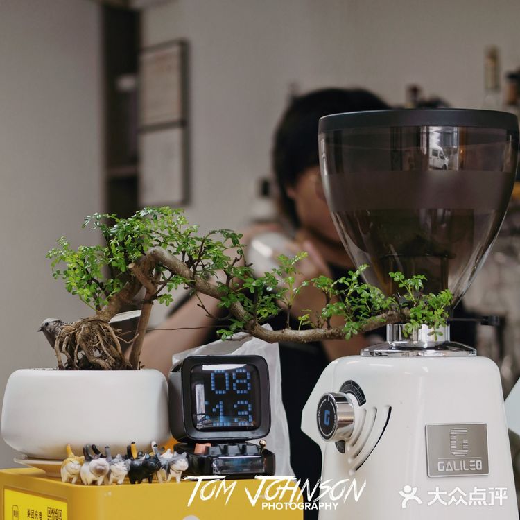新店寫實|是旦求其,這幾杯特調我愛了!