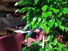 -宜昌富力皇冠假日酒店·咖啡1号西餐厅