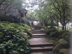 -秀丽东方