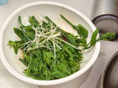云南佛手瓜尖-七号湘(南湖路店)