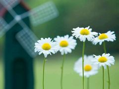 -乐享养生(东湖店)