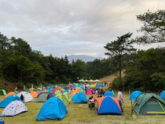 -牛鱼嘴原始生态风景区