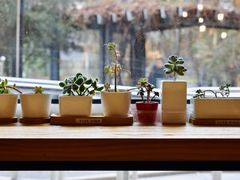 -Cafe Villa