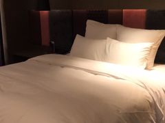 -南京禄口机场雅高铂尔曼大酒店