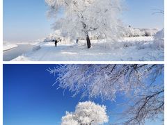 -雾凇岛