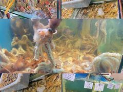 -九层海鲜塔(市南店)