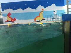 -北戴河圣蓝海洋公园