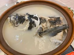 砂锅有机鱼头汤-千岛湖鱼味馆(十字街总店)