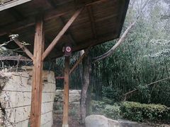 -金孔雀温泉旅游度假村