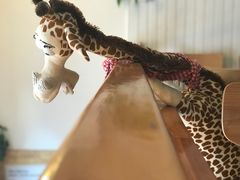 -长颈鹿咖啡(大学路店)