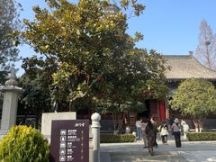 -法门文化景区