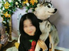 -Husky Go! 哈士奇体验馆·宠物咖啡厅狗咖