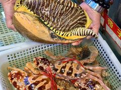 -东江海鲜大排档·潮汕菜·砂锅粥