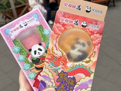 -成都大熊猫繁育研究基地