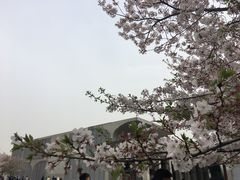 -龙美术馆(西岸馆)