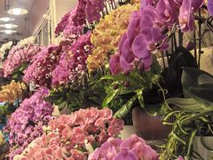 -双季花艺园艺市场(浦东店)