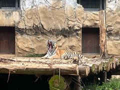 -黔灵山公园