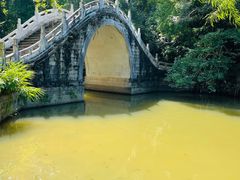 -深圳仙湖植物园