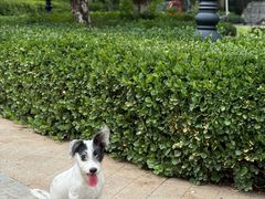 -心仪动物医院·牙专科·肿瘤·心脏科(西客站院)