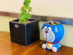 -大邱大包