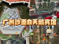 -广州白天鹅宾馆