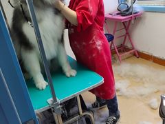 -小叮当动物医院·骨科·眼科