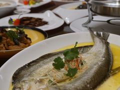 鸡汁江白鱼-玄武苏宁诺富特酒店·紫金轩中餐厅