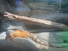 -福州罗源湾海洋世界旅游区