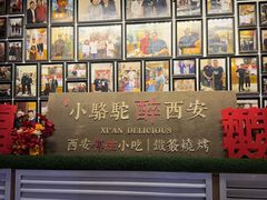 -福苗小骆驼烧烤(莲湖路店)