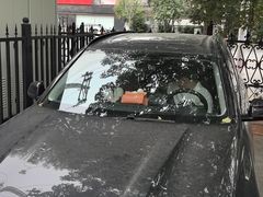 -XPEL旗舰店·汽车贴膜·隐形车衣·改色贴膜