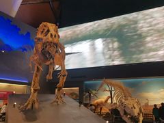 -贝林大翅鲸简餐厅(国家海洋博物馆店)