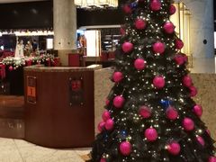 -上海锦江汤臣洲际大酒店壹阶层