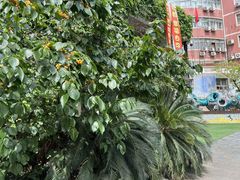 -金豆子幼稚园