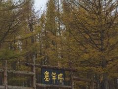 -塞罕坝国家级自然保护区