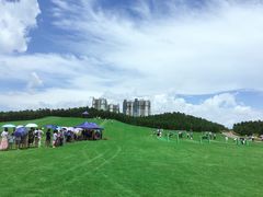 景点-迪茵湖田家舍生态农场
