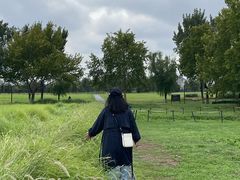 -汉长安城未央宫国家考古遗址公园