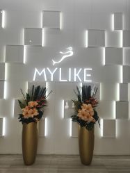 -深圳美莱医疗美容医院