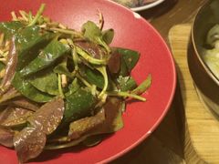 -雀舞云南菜(天津天河城购物中心店)