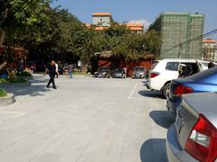 -瑞丽独树成林风景区