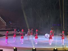-灵玲国际马戏城