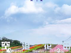 -空港花田景区