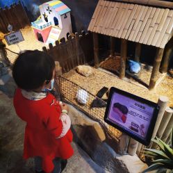 -酷嗒动物文化乐园(cutezoo西溪乐天城店)