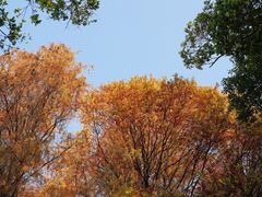 -四海公园(南山区)