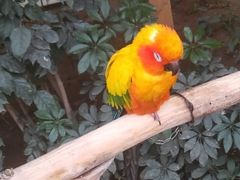 -南宫五洲植物乐园