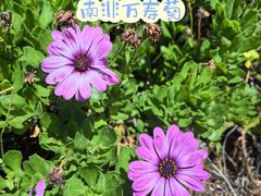 -月亮湾湿地公园