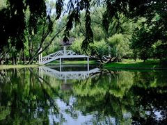 -上海共青森林公园