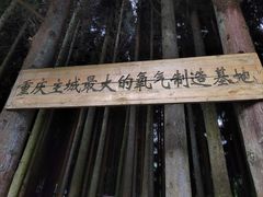 -武陵山森林公园