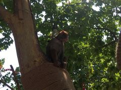 -辛玛王国游乐园