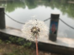 -森林公园(尖草坪区)