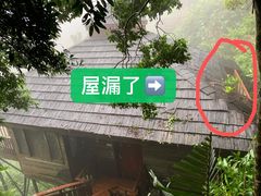 -三亚亚龙湾人间天堂鸟巢度假村